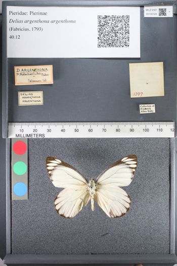 Media type: image;   Entomology 130124